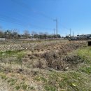 태평민원센터 이미지