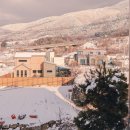 뚱새스테이 이미지