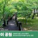 (영광여행) 숲쟁이 공원 - 100년이 넘은 느티나무들이 멋지게 자리한 푸르름이 넘치는 공원 (대한민국구석구석) 이미지