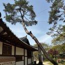 이일 장군 묘 | 조선 옹주 궁집 방문 후기 - 남양주 궁집