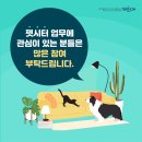 반려동물 토탈 케어 이미지