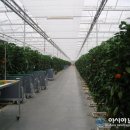 그린축산영농조합법인 이미지