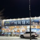 고씨네꺼먹돼지