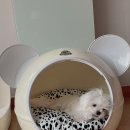 작고 소중해 이미지