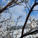 법수펜션 이미지