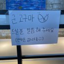 카페 송학리 | 오션뷰가 보이는 분위기 좋은 보령카페 "카페송학리" 후기