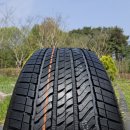 명성타이어 | 브릿지스톤 SUV용 타이어 알렌자 AS 02 세계적 명성의 인기타이어