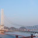 26년5월28일 충남 예산 (아그로랜드 태신목장,예당호출렁다리), KBS 만남의숲 08시 출발 , 회비 70,000원 이미지