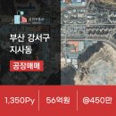 정규공인중개사사무소 이미지