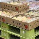 포야농장 네이버블로그