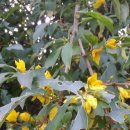 개양파출소 이미지