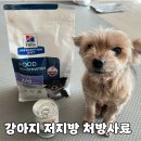 D & Z | 강아지 저지방 처방 사료 힐스 z/d 로우팻 만족 후기
