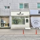 퍼스트캣 여수점 이미지