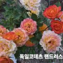 코데츠