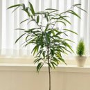 지아아틀리에 이미지