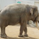 달성공원 이미지