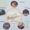 전주보건의료기 이미지