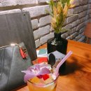 딜루디움 이미지