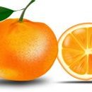 오렌지 이미지