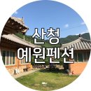 산청 예원펜션 1박 후기
