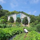 노을이슬 이미지