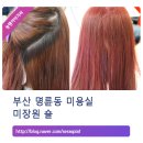 미장원숄 이미지