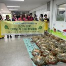 와동종합사회복지관 앞 이미지