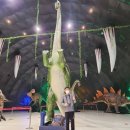 은빛파랑 이미지