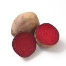 우솔농장 이미지