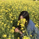 플라워 팔레트 이미지