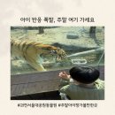 GS25대공원리프트점 | 과천 서울대공원 동물원 주말 아이랑 다녀온 후기