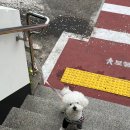 연동우체국 | 제주에서 육지로 우체국 택배 보낸 후기