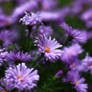 프렌드당구장 이미지