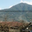 동천교 남쪽 이미지