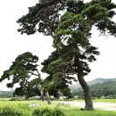 경주 용산회식당, 옥산서원 이미지