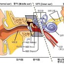 주식회사 내이 이미지