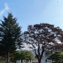 청주 미동산수목원 가을 단풍여행 추천