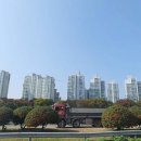 뜨란채 공인중개사사무소 이미지