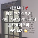 인셀덤안산점 | 세르뷰티 피부관리&왁싱 안산점📌 안산 고잔신도시 30년묵은 기미주근깨 콜드플라즈마로 관리하기⭐️