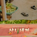 단양삼시세끼