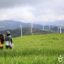 원형목장 이미지