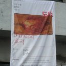 도마이야기