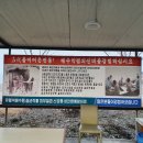 함평해수찜 이미지