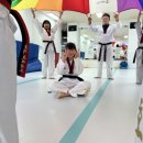 호계 효태권도장 이미지