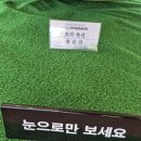 어린이가되고싶어