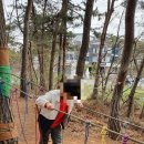 관당초등학교 이미지