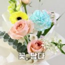 꽃담은강문을담다 | 창원 꽃집 꽃,담다 꽃다발 구매 후기 5월 어버이날 꽃선물