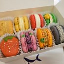 두나네마카롱 | 속초마카롱 맛집 두나네마카롱 재방문각 후기