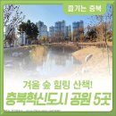 [충청북도] 충북혁신도시 공원 5곳. 도심속 겨울 숲 산책 이미지