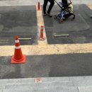 꼬꼬닭칼국수